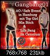 Neuer Flyer HH 14022013.jpg