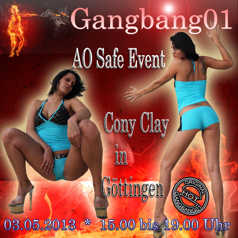 Flyer Göttingen 03052013.jpg