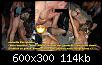 partybilder1.jpg